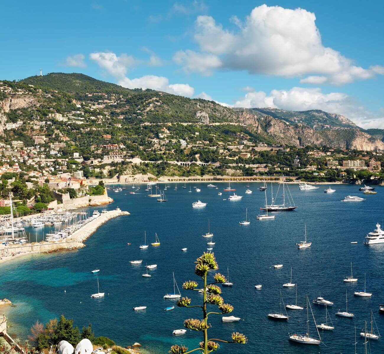 Provence & Le Tour de France